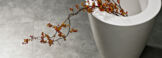 Kempas Parket vloer - Tapis Parket